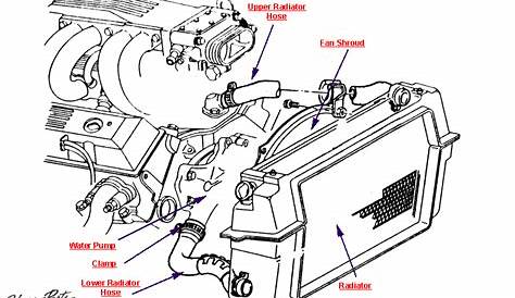Replacement Parts Belts, Hoses & Pulleys 1990-1991 C4 Corvette Engine
