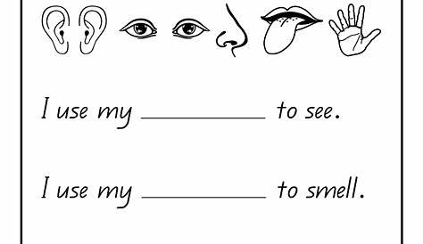 five senses worksheet for grade 4