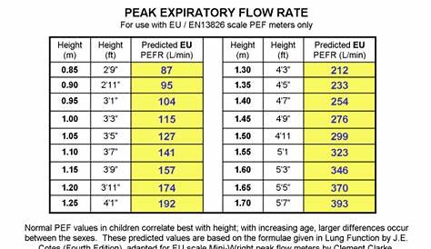 6+ Peak Flow Chart Templates | Sample Templates