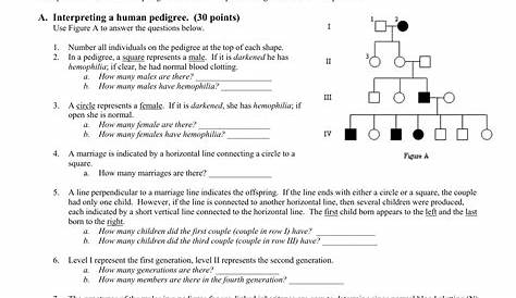 human pedigree worksheet answer key