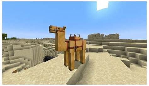 how to tame a camel in minecraft