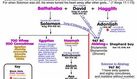 How Many Kids Did King David Have | Kids Matttroy