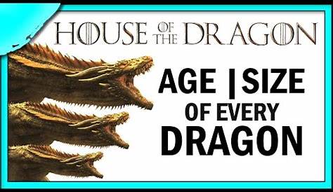 house of the dragon size chart