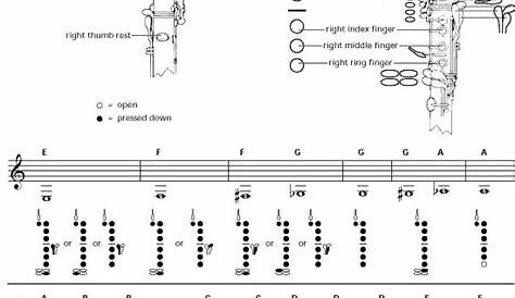 Another Clarinet Fingering Chart from Low E to High G - clarinet.gif