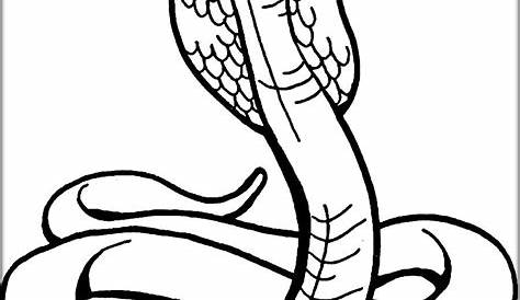 Cool Snakes Coloring Pages - Coloring Home