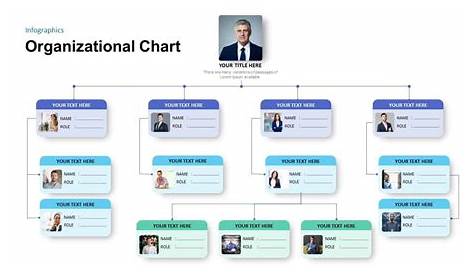 20+ Sample Organizational Chart Template - SampleTemplatess