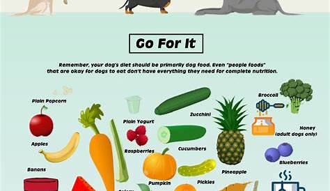 printable dog safe food chart