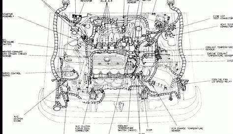 1997 Ford Escort Firing Order | Wiring and Printable