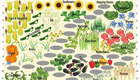 Use This Companion Planting Chart to Help Your Garden Thrive - Live