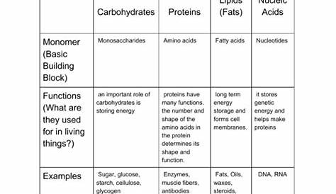 Carbohydrates Proteins Lipids (Fats) Nucleic Acids Monomer (Basic