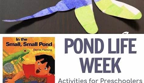 In a Small, Small Pond and Pond Life Week Activity Plan for Preschoolers