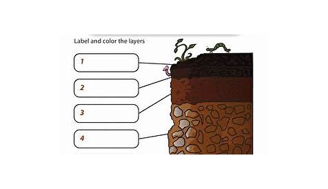 soil formation worksheet answers