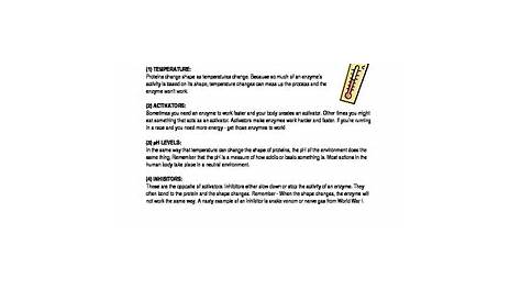 Enzymes Worksheet by Biology Boutique | Teachers Pay Teachers