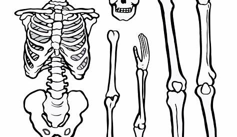 15 Best Printable Halloween Skeleton Patterns PDF for Free at Printablee