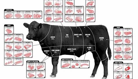 The Ultimate Guide To Beef Cuts - Business Insider