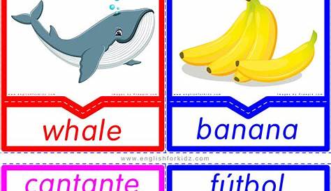 spanish to english flashcards with pictures printable free
