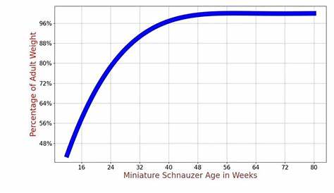 Miniature Schnauzer Growth Chart. Miniature Schnauzer Weight Calculator.