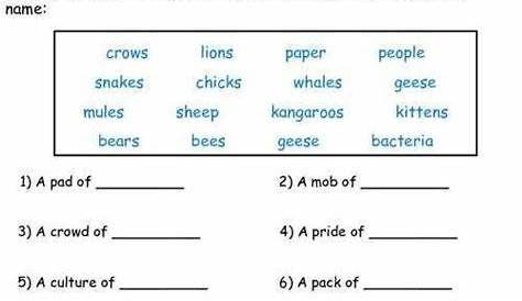 18 Collective Nouns Worksheets For Kids | Collective nouns worksheet