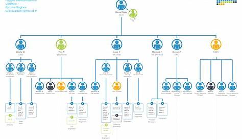 functional org chart examples