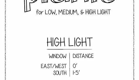 outdoor plant light requirements chart
