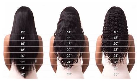 Hair length chart - AprilLaceWigs.com