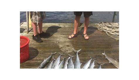 Fish Hook Charters (North Myrtle Beach) | June 2019 | All You Need to