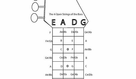 bass guitar diagram notes