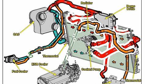 Ford Fusion Coolant Hose Diagram