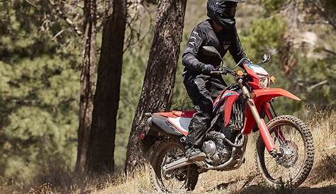 2021 Honda CRF300L and CRF300L Rally | First Ride Review | Rider Magazine