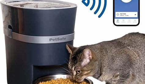 pet feeder automatic food