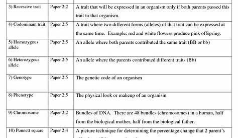 genetics matching worksheet answers