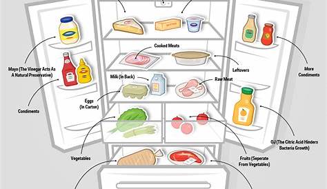 Here's The Right Way To Organise Your Refrigerator