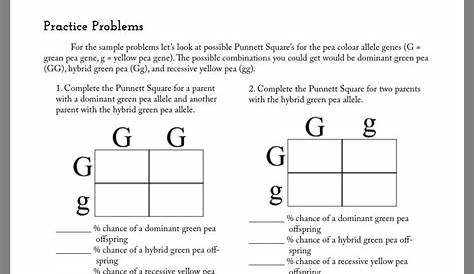 Answer Key Punnett Square Worksheet With Answers - Thekidsworksheet