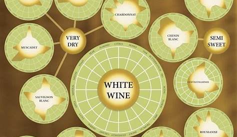 Your Complete Guide To White Wine [Infographic] | Popular Science Wine