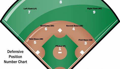 Baseball Position Numbers Explained | Baseball Made Fun