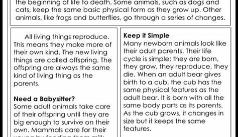 life cycle of animals lesson plan