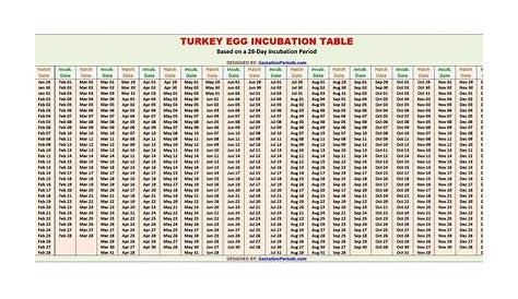 Turkey Egg Incubation Chart