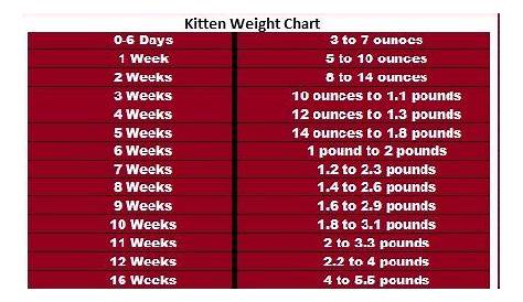 Kitten Weight Chart | Ask The Cat Doctor