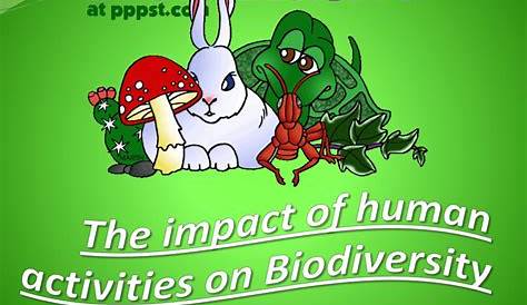PPT - The impact of human activities on Biodiversity PowerPoint