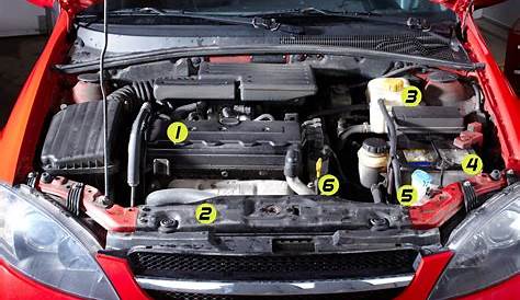 Bledsoe Towing & Automotive: What's Under My Car Hood?