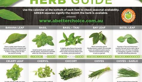 Seasonal Herb Guide - A Better Choice | Herb guide, Medical herbs