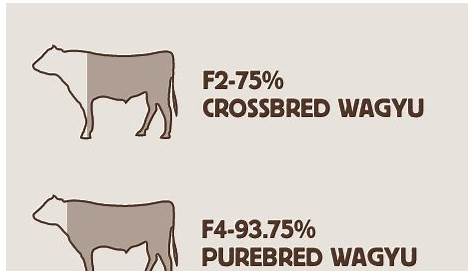 wagyu beef cuts chart