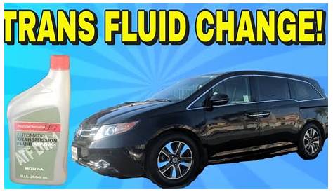 HOW TO CHANGE/REPLACE TRANSMISSION FLUID ON 11 12 13 14 15 16 17 HONDA