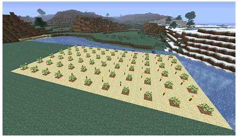 Novament: Minecraft Oak Tree Farm Layout
