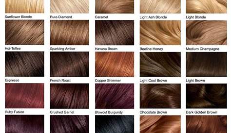 Hair Color Chart: Shades of Blonde, Brunette, Red & Black in 2019