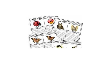 moth mimicry worksheet answers