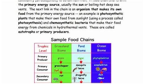 50 Food Chain Worksheet Answers