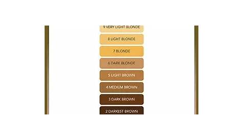 hair color levels 1-10 chart bleach