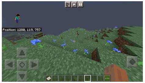How Many Flowers Exactly In Minecraft