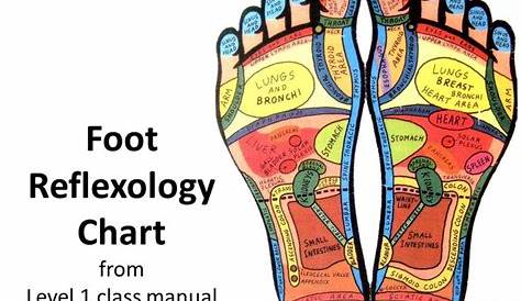 printable reflexology foot chart